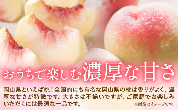 ご家庭用 おかやまの桃 約900g(大玉3玉) 令和7年産 先行予約  《2025年7月上旬-8月下旬頃出荷》 桃 晴れの国おかやま館 フルーツ 果物 果実 岡山県 笠岡市