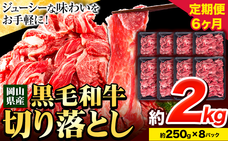 牛肉 肉 黒毛和牛 切り落とし 訳あり 大容量 小分け【定期便】 2kg 1パック 250g 6回 《お申込月の翌月より発送》岡山県産 岡山県 笠岡市 お肉 にく カレー 牛丼 切り落し 切落し