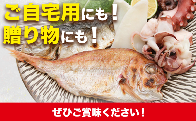 A-136 魚々干 今日の漁りセット Bセット 灰干し 鯛 イカ タコ 鰆 特定非営利活動法人 かさおか島づくり海社《45日以内に出荷予定(土日祝除く)》岡山県 笠岡市 魚 さかな 干し おまかせ 詰め合わせ 天然魚介 魚介