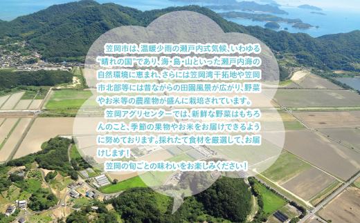 A-54 ふるさとフレッシュ便（旬野菜・ふるさと米）《お申込月の翌月より発送》