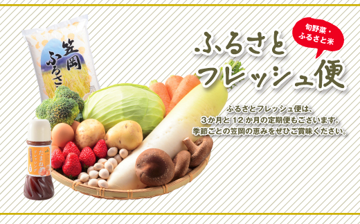 A-54 ふるさとフレッシュ便（旬野菜・ふるさと米）《お申込月の翌月より発送》