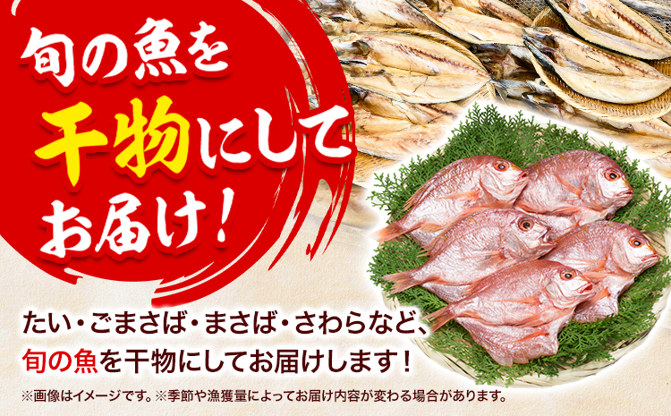 干物 ひもの 海鮮 熟成干物セット 4 ~ 5 種 セット 笠岡魚市場《45日以内に出荷予定(土日祝除く)》 岡山県 笠岡市 旬 魚 お魚