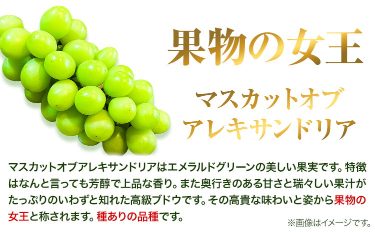 岡山県産マスカット（マスカット オブ アレキサンドリア　1房750g以上）令和7年産先行受付《7月上旬-8月中旬頃出荷》【配送不可地域あり】