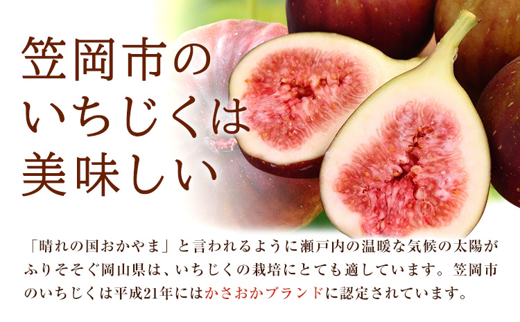 ドレッシング いちじく生フレンチドレッシング 300g × 1本《60日以内に出荷予定(土日祝除く)》キッチンラボ101 サラダ いちじく ドレッシング フレンチドレッシング 岡山県 笠岡市