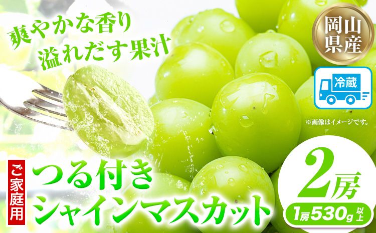 家庭用つる付きシャインマスカット 2房(1房530g以上)【配送不可地域あり】有限会社ホーティカルチャー神島 令和7年産先行受付《9月上旬-10月下旬頃出荷》岡山県 笠岡市 送料無料 葡萄 フルーツ 果物 シャインマスカット つる付き お取り寄せフルーツ