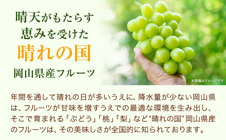 桃・ピオーネ詰め合わせ 約1kg クール便 冷蔵便 桃 もも 葡萄 ブドウ ぶどう ピオーネ フルーツ セット 先行予約 晴れの国おかやま館 《2025年8月下旬‐9月中旬頃出荷》 フルーツ 果物 果実 岡山県 笠岡市