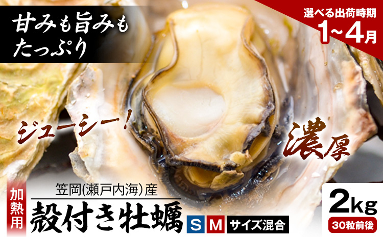 笠岡産 (瀬戸内海産) 殻付き牡蠣 (加熱用) S・Mサイズ混合 2kg 30粒前後《出荷時期が選べる》1月 2月 3月 4月 岡山県 笠岡市 かき カキ 牡蠣 生牡蠣 瀬戸内海産 殻付き