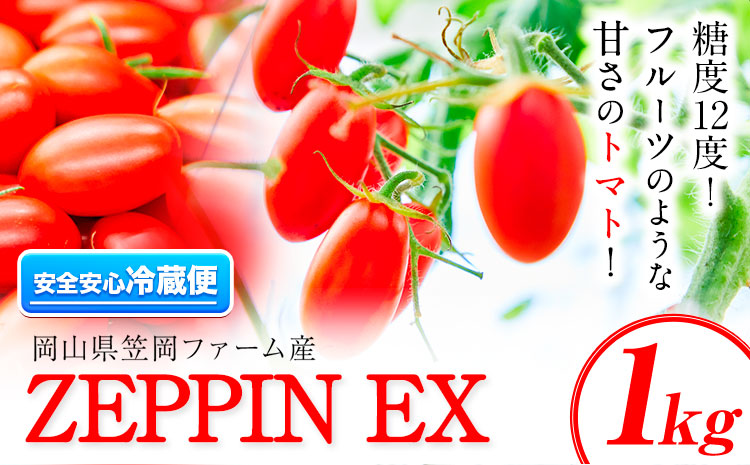 ZEPPIN EX(エクセレント) 1kg箱 平均糖度12度 《120日以内に出荷予定(土日祝除く)》甘い フルーツトマト