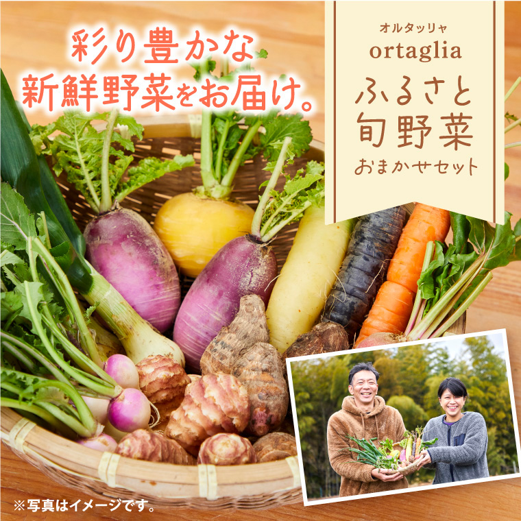 A-229 季節の旬野菜 10品 おまかせセット（農薬・化学肥料不使用） 《45日以内に出荷予定(土日祝除く)》【配送不可地域あり】