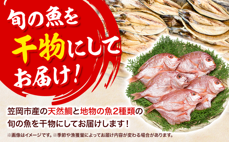 真鯛の熟成干物セット 笠岡魚市場《45日以内に出荷予定(土日祝除く)》岡山県 笠岡市 真鯛 干物 ひもの 海鮮 旬 魚 お魚