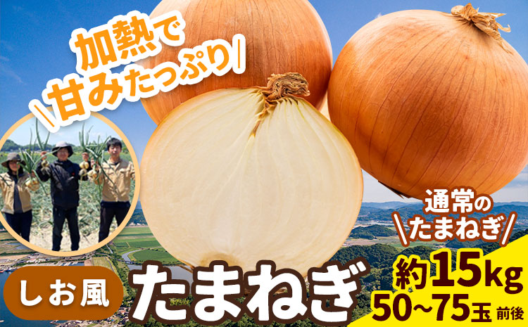 【2025年先行予約分】しお風たまねぎ 約15kg《2025年6月上旬-6月末頃出荷(土日祝除く)》 玉ねぎ たまねぎ 野菜 青果物 岡山県 笠岡市