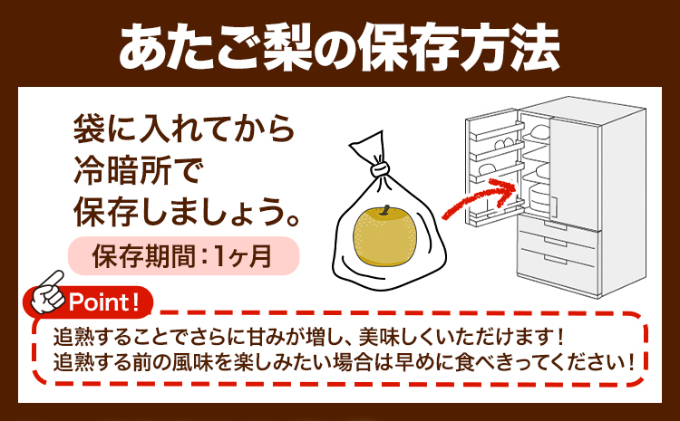 岡山県産 あたご梨　4kg（3～6玉）令和7年産先行受付《11月下旬-12月中旬頃出荷》