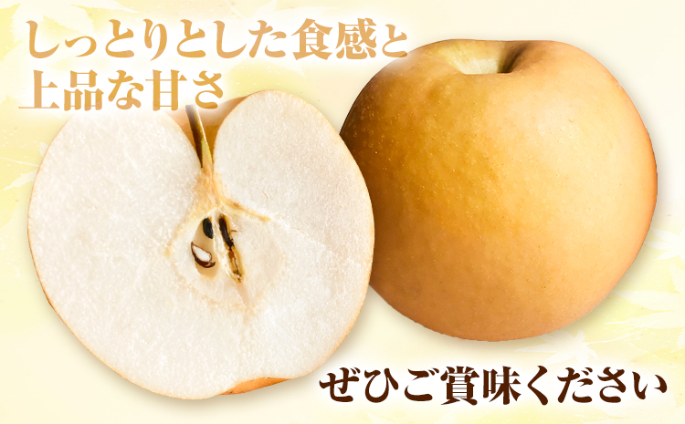 岡山県産 あたご梨　4kg（3～6玉）令和7年産先行受付《11月下旬-12月中旬頃出荷》