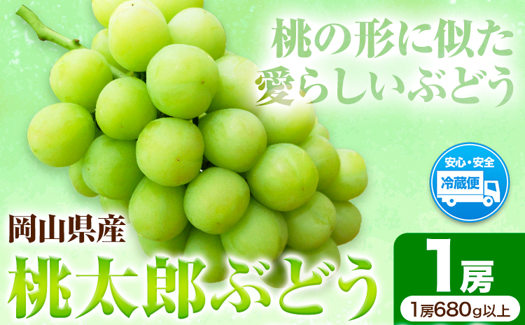 岡山県産桃太郎ぶどう（1房680g以上）1房入り　令和7年産先行受付《9月上旬-10月中旬頃出荷》【配送不可地域あり】