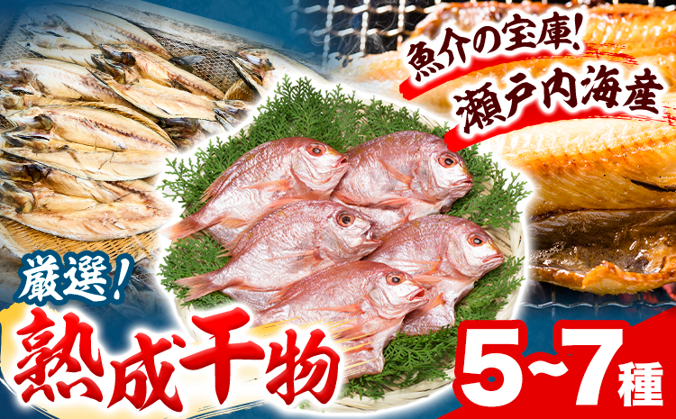 干物 ひもの 海鮮 熟成干物セット 5~7種 セット 笠岡魚市場《45日以内に出荷予定(土日祝除く)》岡山県 笠岡市 旬 魚 お魚