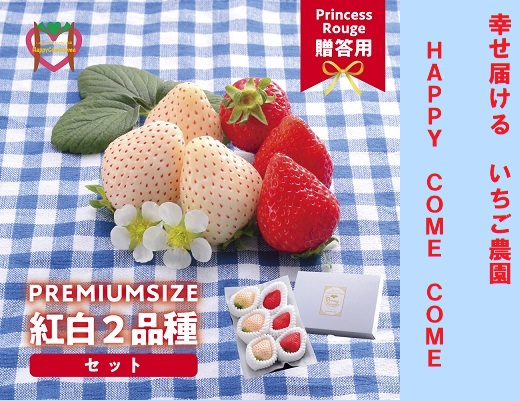 A-125a　しあわせ届けるいちご農園HappyComeComeの紅白いちご2品種食べ比べセット 400g以上   全て