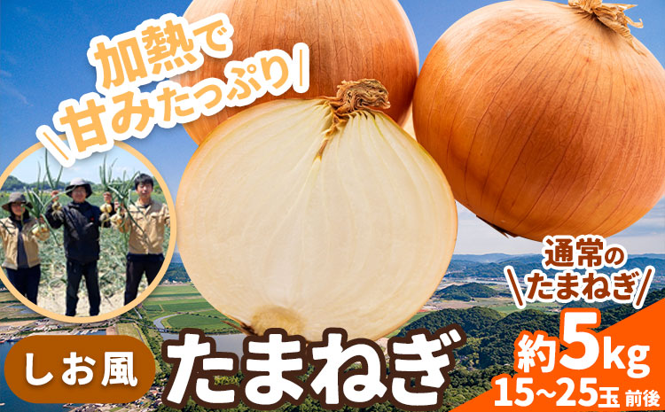 たまねぎ【2025年先行予約分】しお風たまねぎ 約5kg《2025年6月上旬-6月末頃出荷》 玉ねぎ たまねぎ 野菜 青果物 岡山県 笠岡市 玉ねぎ 5kg