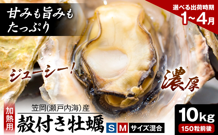 笠岡産 (瀬戸内海産) 殻付き牡蠣 (加熱用) S・Mサイズ混合 10kg 150粒前後《出荷時期が選べる》1月 2月 3月 4月 岡山県 笠岡市 かき カキ 牡蠣 生牡蠣 瀬戸内海産 殻付き