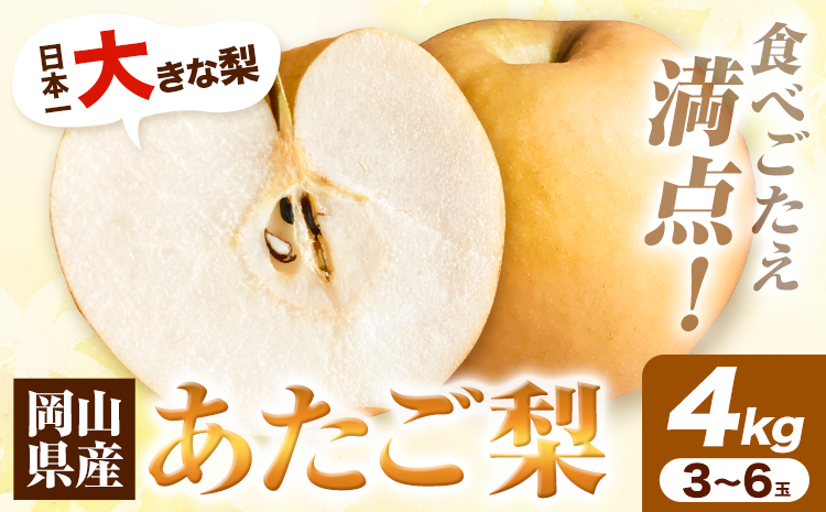 岡山県産 あたご梨　4kg（3～6玉）令和7年産先行受付《11月下旬-12月中旬頃出荷》