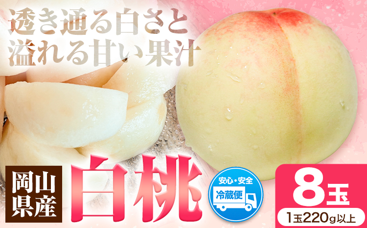 岡山県産 白桃（1玉220g以上8玉入りロイヤル）令和7年産先行受付《7月上旬-8月中旬頃出荷》【配送不可地域あり】