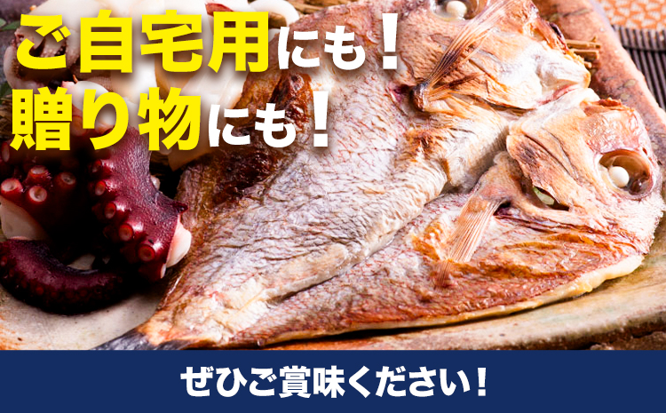 A-135 魚々干 今日の漁りセット Aセット 灰干し 鯛 イカ タコ 特定非営利活動法人 かさおか島づくり海社《45日以内に出荷予定(土日祝除く)》岡山県 笠岡市 魚 さかな 干し おまかせ 詰め合わせ 天然魚介 魚介