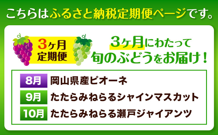 【2025年産先行予約】3ヶ月 定期便 食べ比べセット たたらみねらる シャインマスカット 瀬戸ジャイアンツ ピオーネ 2〜3房(計1.3kg)《2025年8月下旬-10月下旬頃出荷》岡山県 笠岡市 マスカット ぶどう ブドウ 葡萄 フルーツ 果物 たたらみねらる 食べ比べ セット