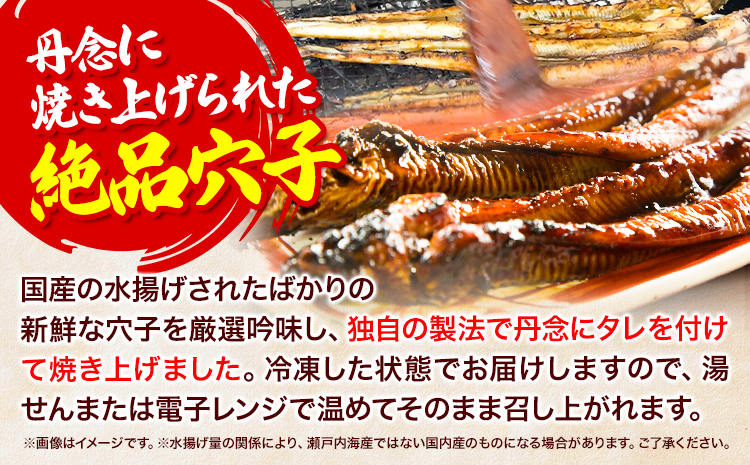 焼き穴子 約800g 笠岡魚市場《45日以内に出荷予定(土日祝除く)》岡山県 笠岡市 穴子 海鮮 魚 お魚