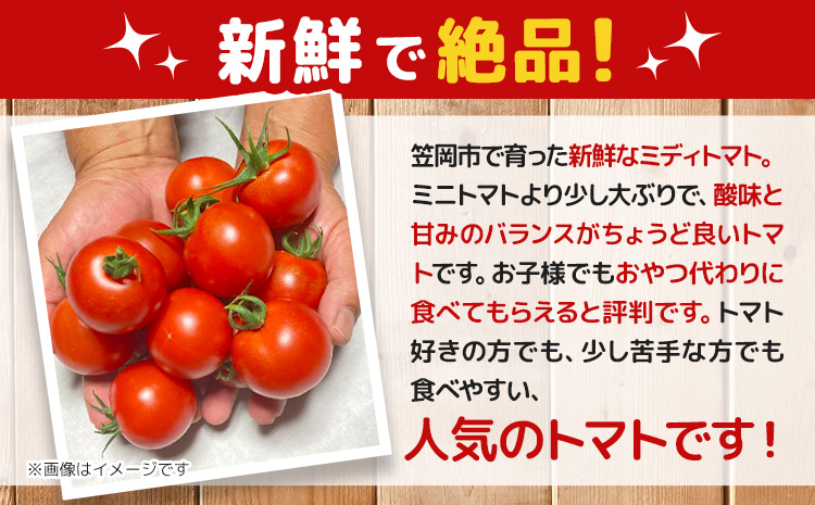 笠岡産ミディトマト2.4kg（数量限定）トマト フルーツトマト 中玉 原田農園《45日以内に出荷予定(土日祝除く)》 岡山県 笠岡市 岡山県産 トマト 野菜 笠岡市産