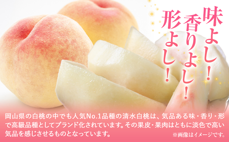 令和7年産 先行予約 清水白桃 約2kg（８玉） 《2025年7月下旬-8月上頃出荷》 桃 清水白桃 白桃 晴れの国おかやま館 フルーツ 果物 果実 岡山県 笠岡市