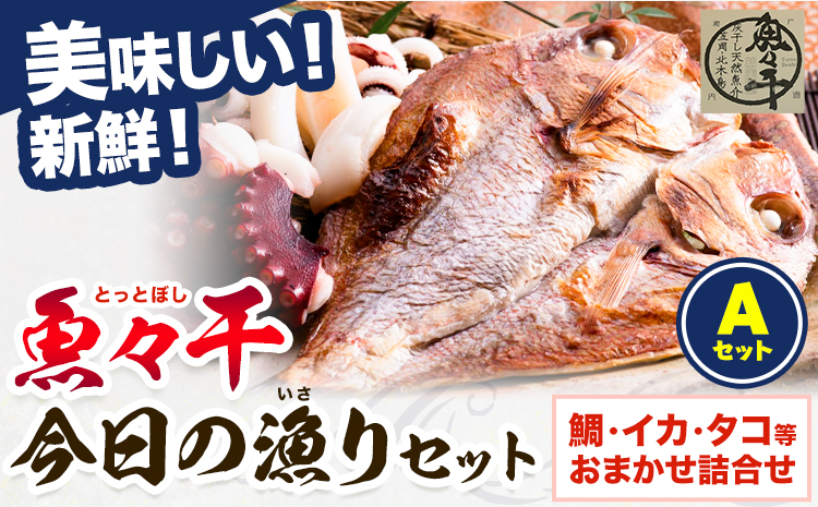 A-135 魚々干 今日の漁りセット Aセット 灰干し 鯛 イカ タコ 特定非営利活動法人 かさおか島づくり海社《45日以内に出荷予定(土日祝除く)》岡山県 笠岡市 魚 さかな 干し おまかせ 詰め合わせ 天然魚介 魚介