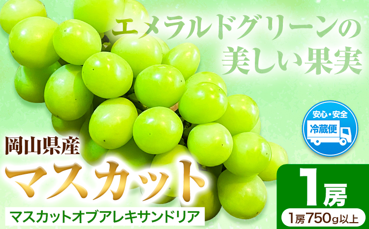 岡山県産マスカット（マスカット オブ アレキサンドリア　1房750g以上）令和7年産先行受付《7月上旬-8月中旬頃出荷》【配送不可地域あり】