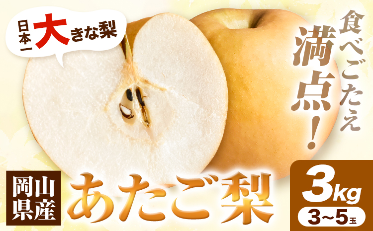 岡山県産 あたご梨 3kg（3～5玉）令和7年産先行受付《11月下旬-12月中旬頃出荷》