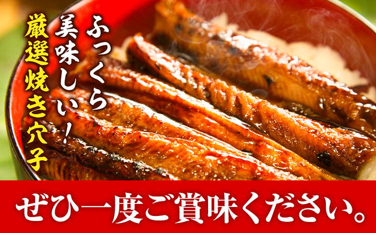 焼き穴子 約500g 笠岡魚市場《45日以内に出荷予定(土日祝除く)》岡山県 笠岡市 穴子 海鮮 魚 お魚