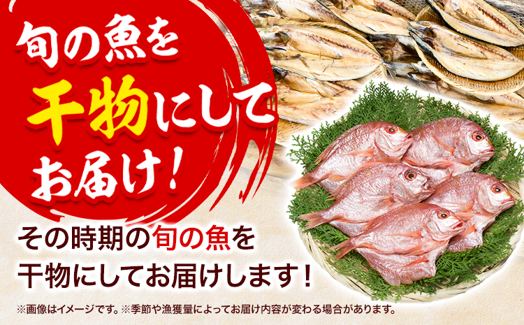 干物 ひもの 海鮮 熟成干物セット 5~7種 セット 笠岡魚市場《45日以内に出荷予定(土日祝除く)》岡山県 笠岡市 旬 魚 お魚