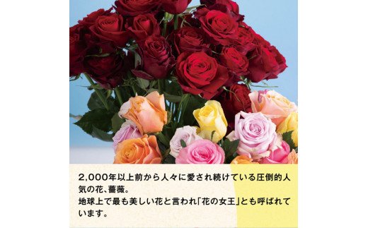 愛する人へ「100本の薔薇」