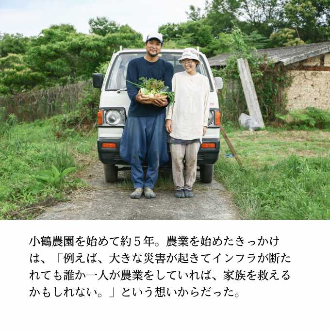 小鶴農園 季節のお野菜7～9品目セット（農薬・化学肥料不使用）【配達不可：北海道・沖縄・離島】