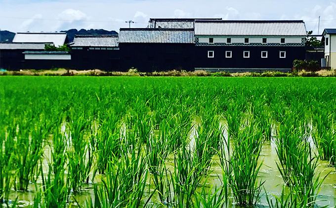 【定期便2ヶ月】瀬戸内自然栽培米 ひのひかり 白米 10kg（5kg×2袋）