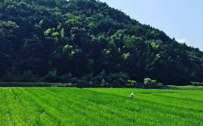 【定期便2ヶ月】瀬戸内自然栽培米 ひのひかり 玄米 10kg（5kg×2袋）