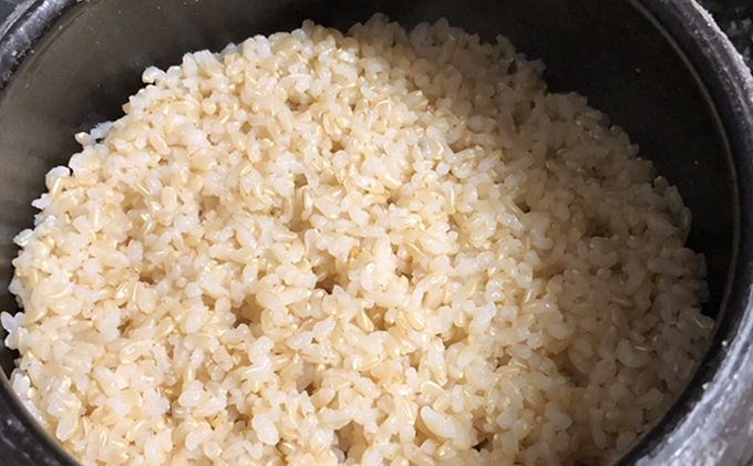 【定期便3ヶ月】瀬戸内自然栽培米 ひのひかり 玄米 10kg（5kg×2袋）