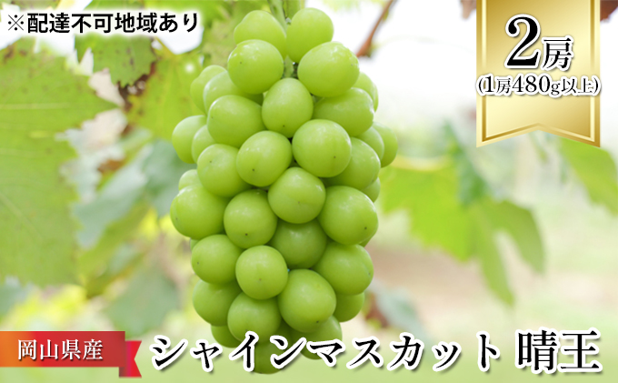 ぶどう 2024年 先行予約 シャイン マスカット 晴王 2房 （1房480g以上） 化粧箱入り マスカット ブドウ 葡萄  岡山県産 国産 フルーツ 果物 ギフト
