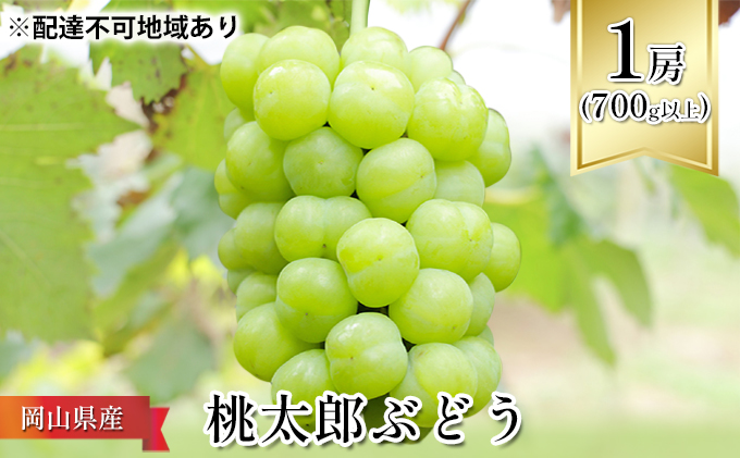 ぶどう 2024年 先行予約 桃太郎 ぶどう 1房（700g以上） ブドウ 葡萄  岡山県産 国産 フルーツ 果物 ギフト