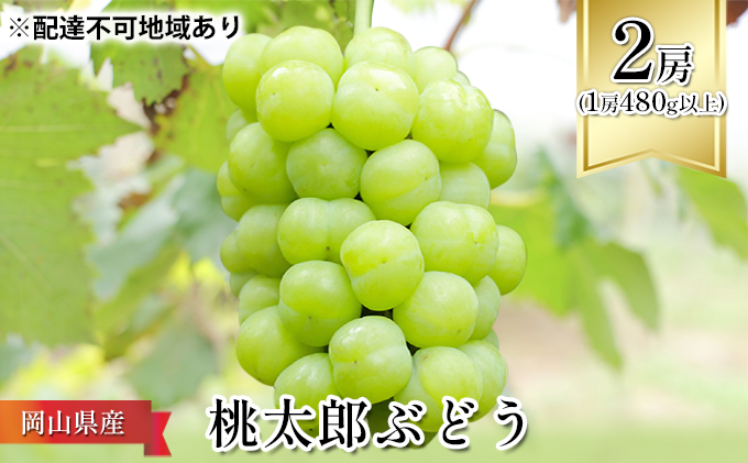 ぶどう 2024年 先行予約 桃太郎 ぶどう 2房（1房480g以上） ブドウ 葡萄  岡山県産 国産 フルーツ 果物 ギフト