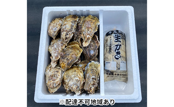 内田水産 牡蠣 むき身 500g、小サイズ 殻付き 牡蠣 約2kgセット※加熱調理用  岡山県 瀬戸内 牛窓産