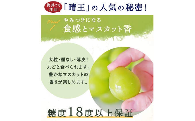 ぶどう 2024年 先行予約 シャイン マスカット 晴王 3～5房 2kg前後 （8月上旬～9月下旬発送分） ブドウ 葡萄  岡山県産 国産 フルーツ 果物 ギフト