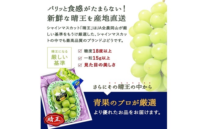 シャインマスカット 晴王 1房 950g前後 岡山県産 - ふるさとパレット ～東急グループのふるさと納税～