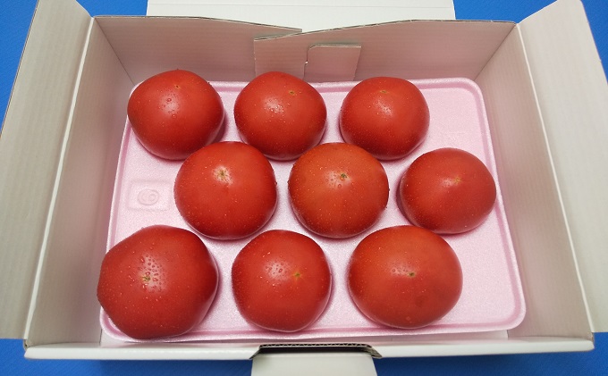 期間限定【産地直送】瀬戸内はれトマト（桃太郎トマト）9玉 約1.3kg