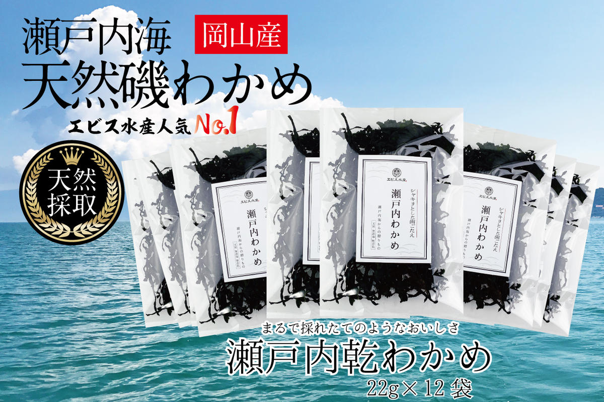 風味豊かな 瀬戸内 わかめ 22g×12袋 エビス水産【岡山 瀬戸内海 天然