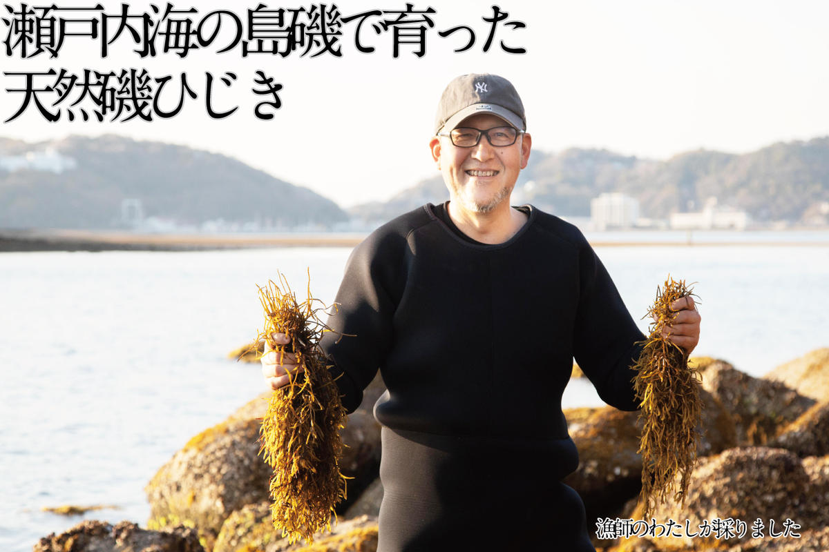 生炊きだからおいしい 瀬戸内 ひじき 28g×9袋 エビス水産【岡山 瀬戸内海 鉄釜炊 生炊 天然 乾燥】