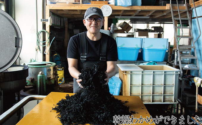 風味豊かな 瀬戸内 わかめ 22g×12袋 エビス水産【岡山 瀬戸内海 天然