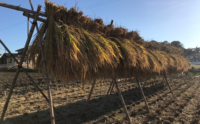 瀬戸内自然栽培米「ひのひかり」白米 10kg（5kg×2袋）